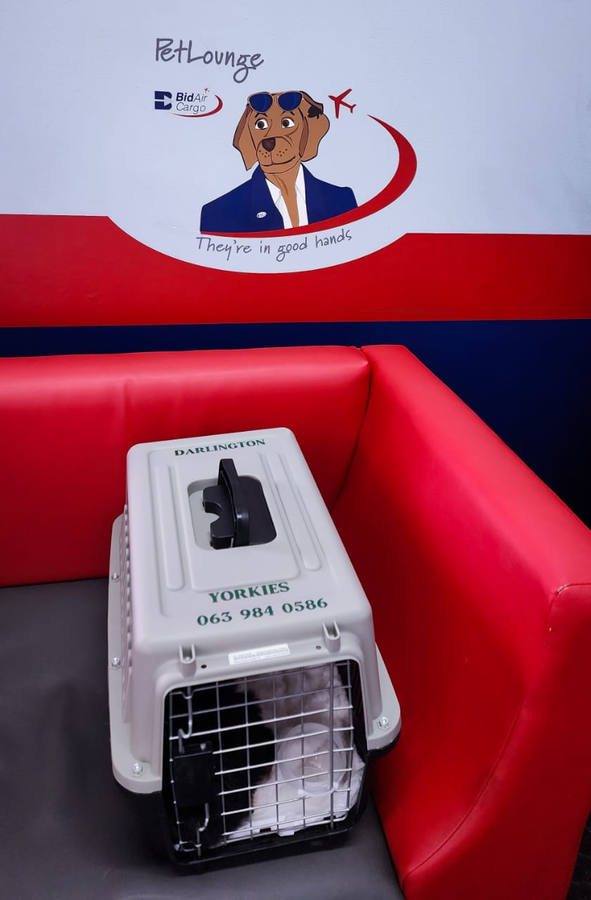 Pet Lounge with crate Pet Lounge with crate