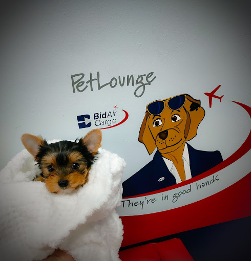 PetLounge PetLounge