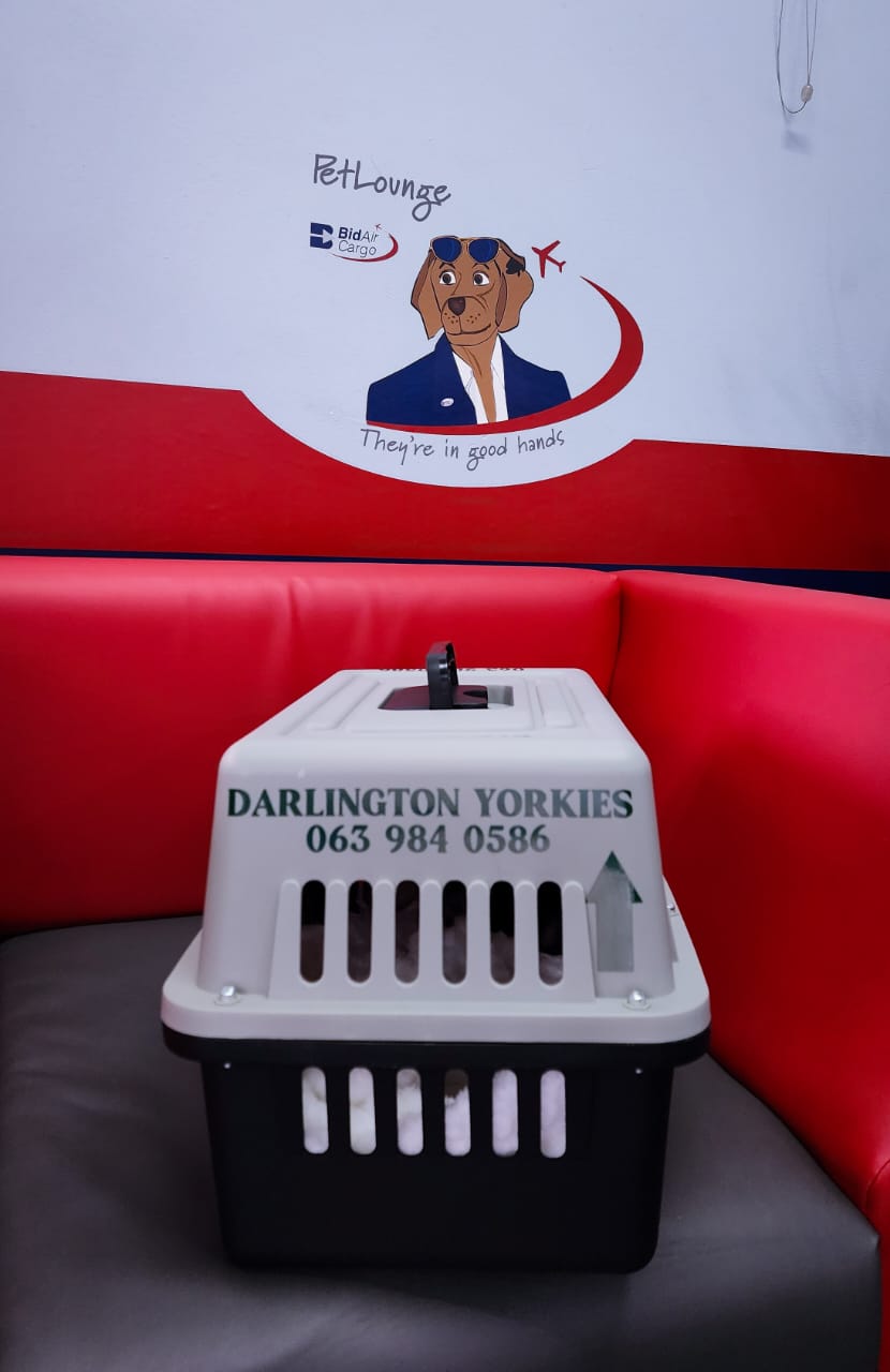 Yorkies pet Lounge with crate Yorkies pet Lounge with crate