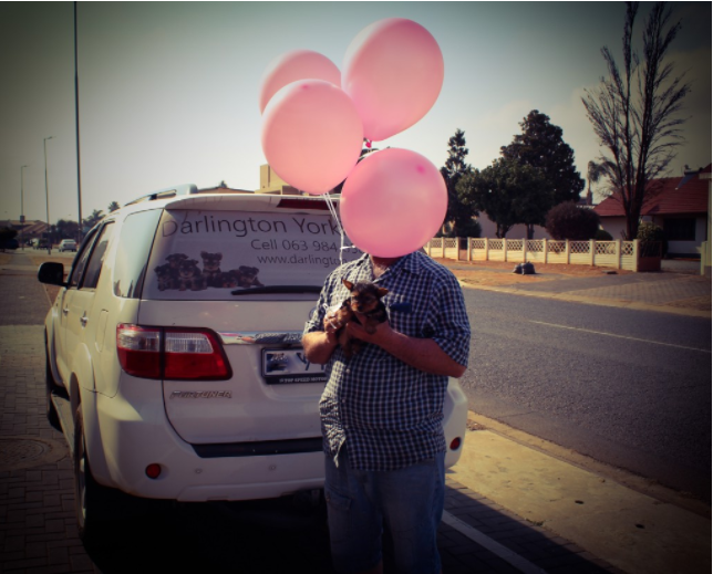 birthday 1 birthday 1